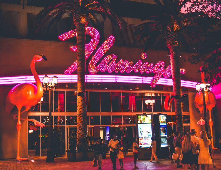 flamingo casino